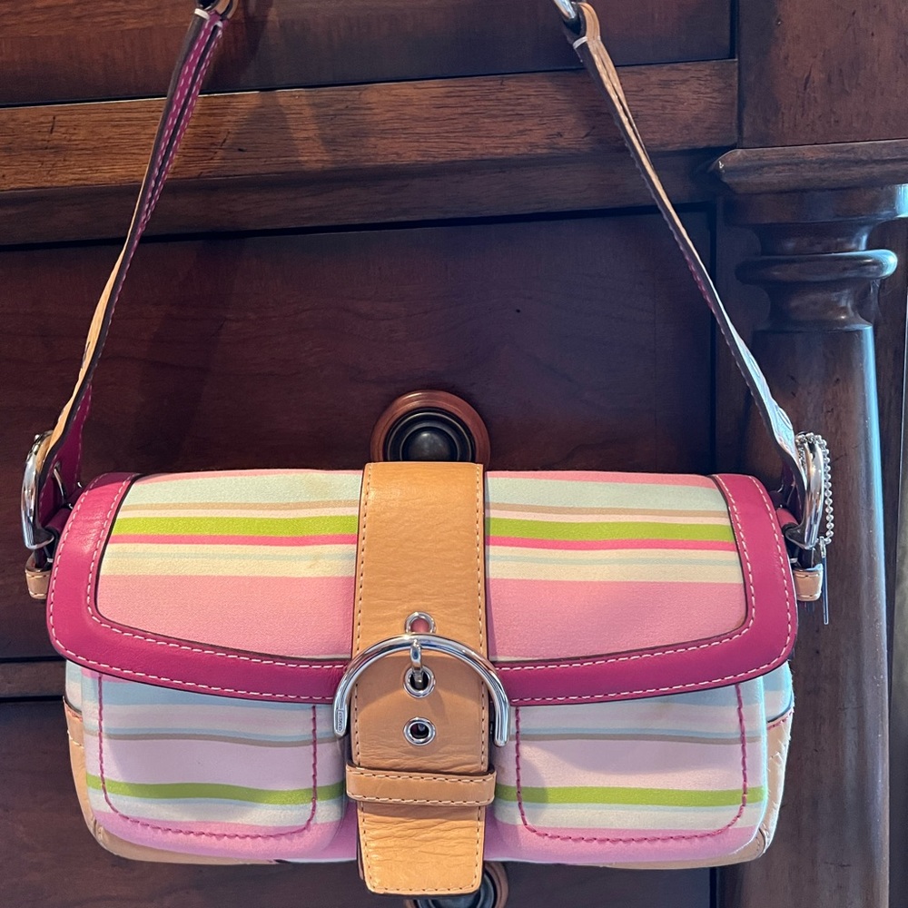 striped coach bag